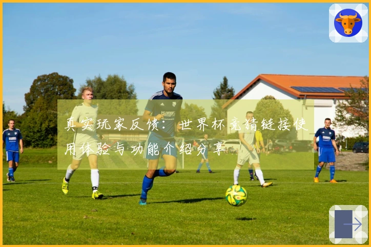 真实玩家反馈：世界杯竞猜链接使用体验与功能介绍分享
