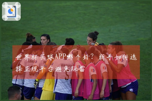 世界杯买球APP哪个好？新手如何选择正规平台避免踩雷