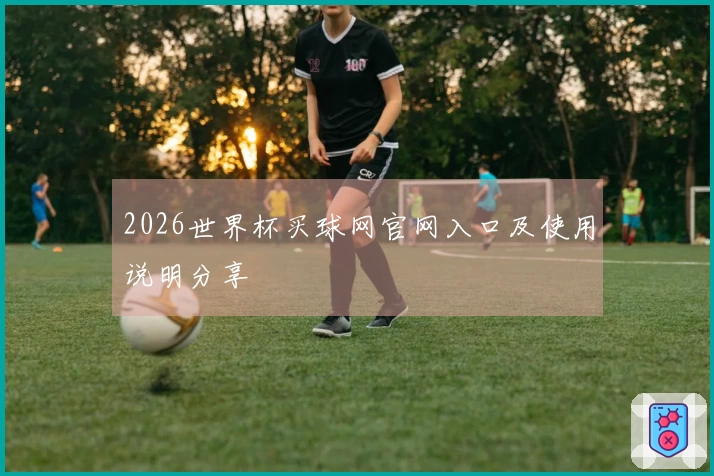 2026世界杯买球网官网入口及使用说明分享
