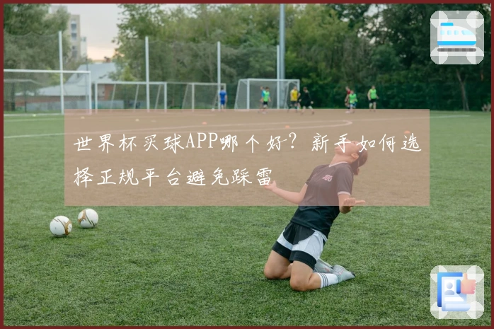 世界杯买球APP哪个好?新手如何选择正规平台避免踩雷