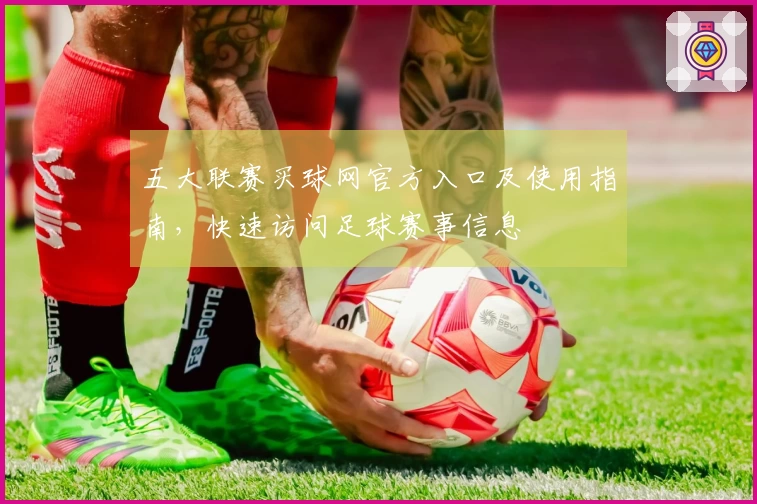 五大联赛买球网官方入口及使用指南，快速访问足球赛事信息