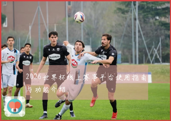 2026世界杯线上赛事平台使用指南与功能介绍