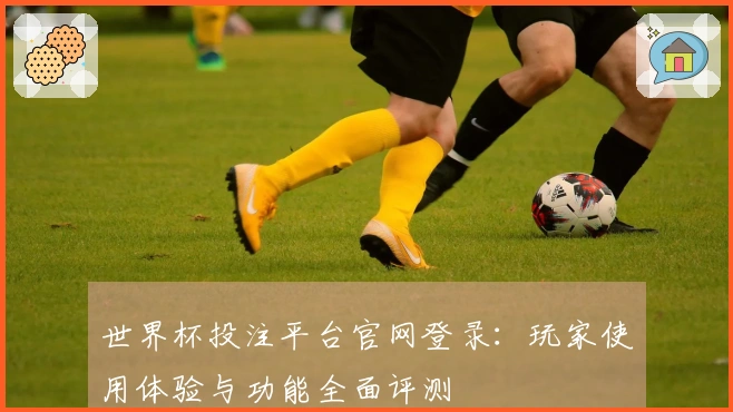 世界杯投注平台官网登录：玩家使用体验与功能全面评测