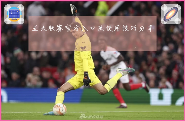 五大联赛官方入口及使用技巧分享